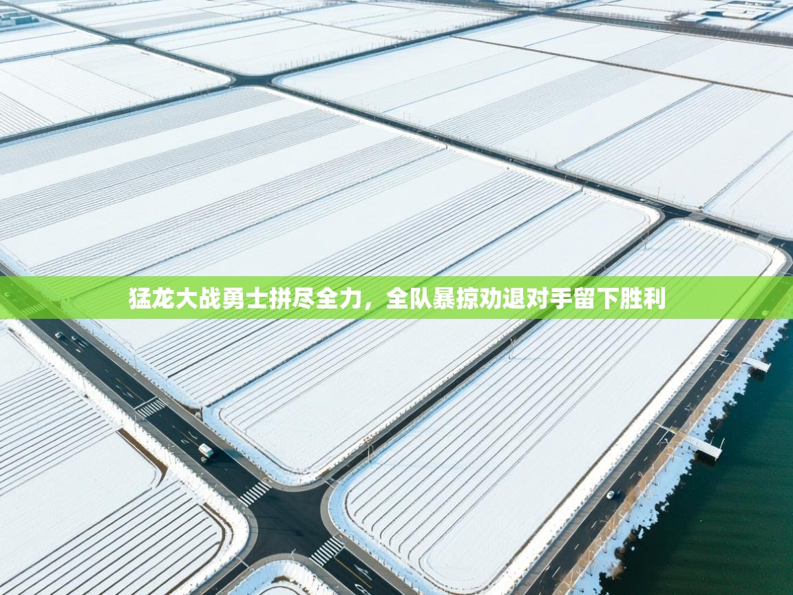 开云kaiyun体育app入口登录官网-猛龙大战勇士拼尽全力,全队暴掠劝退对手留下胜利  第3张