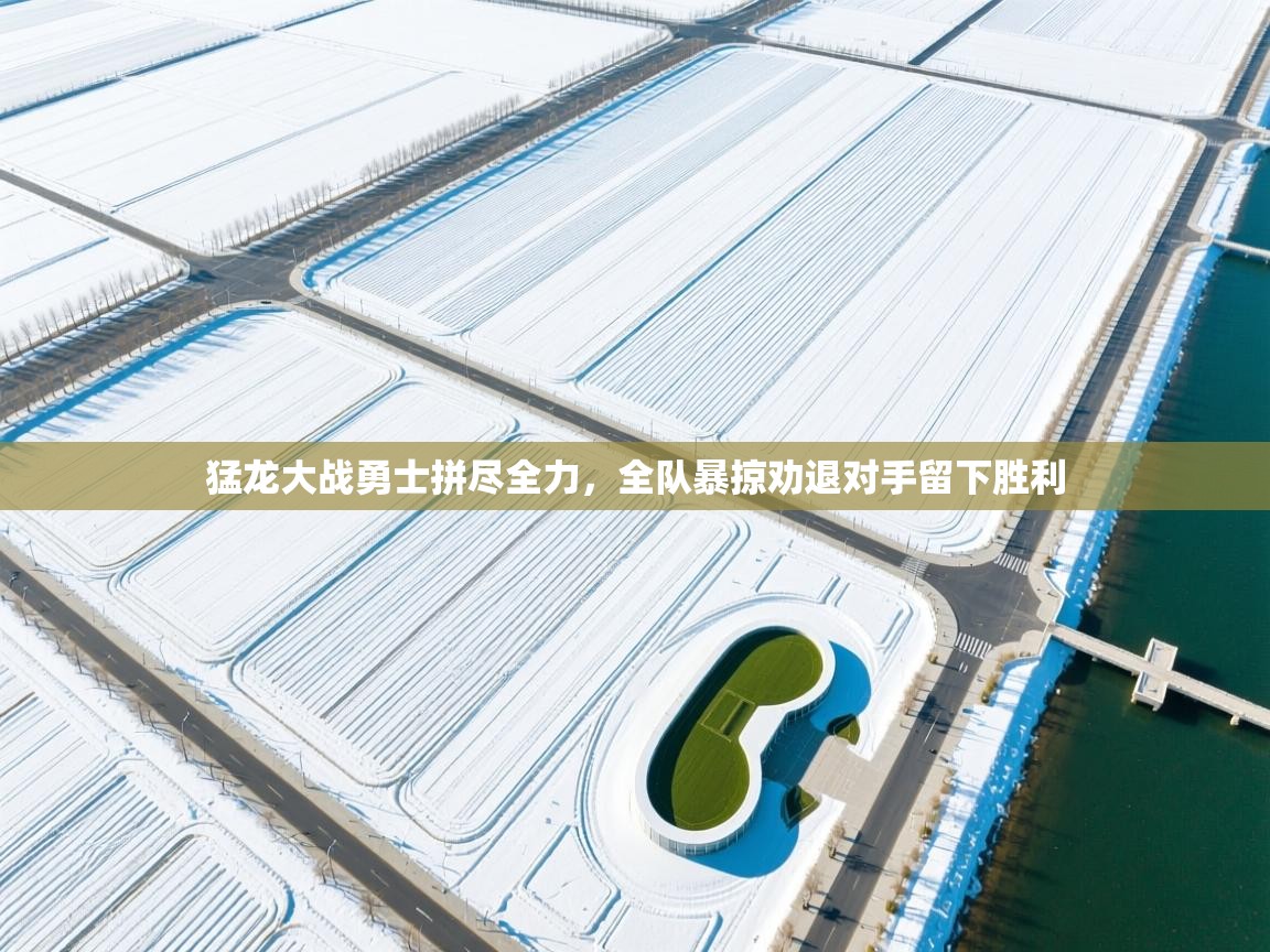 开云kaiyun体育app入口登录官网-猛龙大战勇士拼尽全力,全队暴掠劝退对手留下胜利  第4张