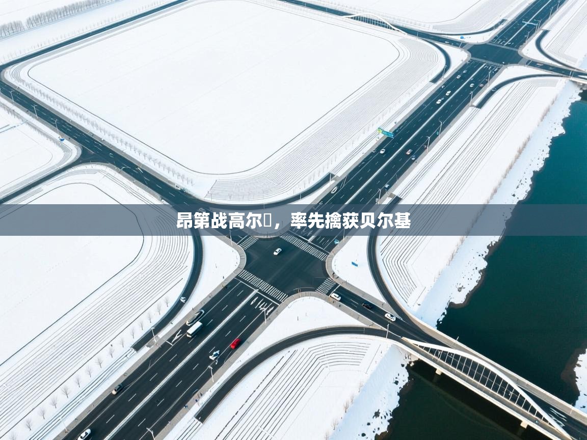 开云·体育kaiyun官方网站_kaiyun sports-昂第战高尔貝,率先擒获贝尔基 第1张