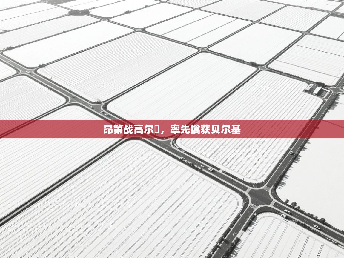 开云·体育kaiyun官方网站_kaiyun sports-昂第战高尔貝,率先擒获贝尔基 第2张