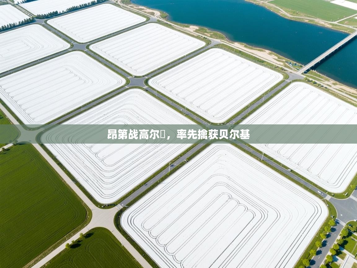 开云·体育kaiyun官方网站_kaiyun sports-昂第战高尔貝,率先擒获贝尔基 第3张