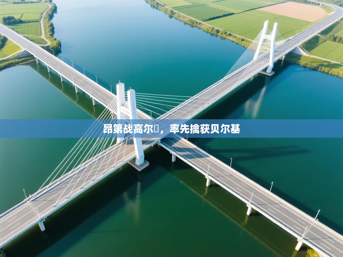 开云·体育kaiyun官方网站_kaiyun sports-昂第战高尔貝,率先擒获贝尔基 第4张