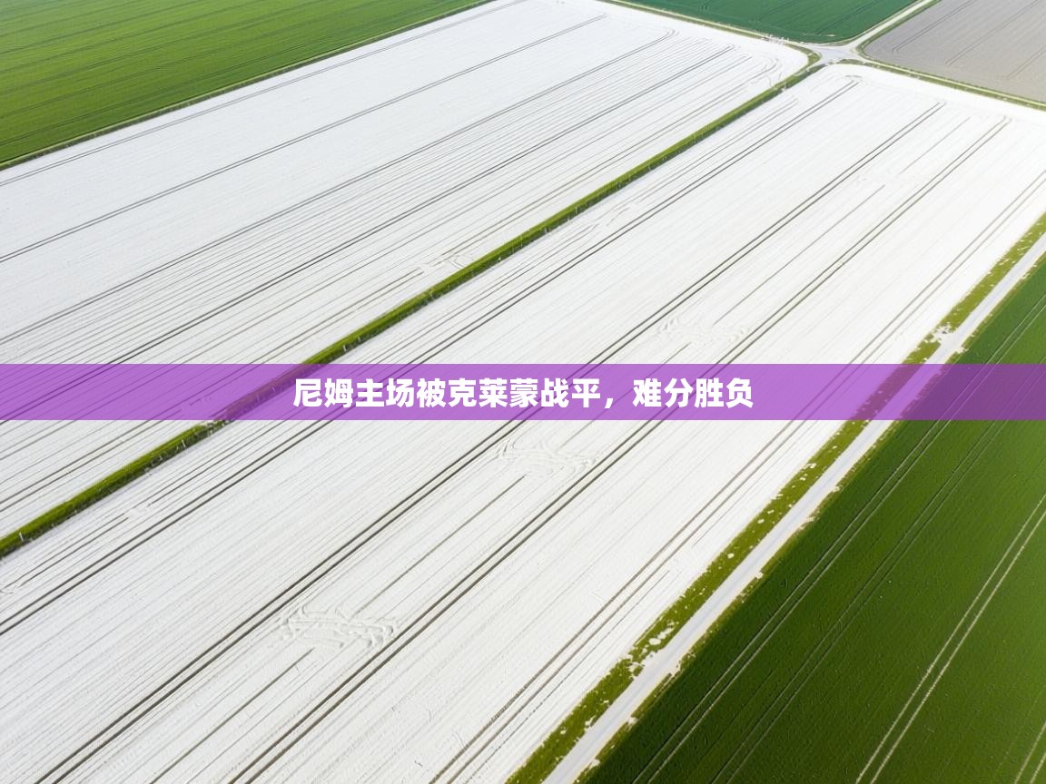 开云体育多语言中文版-尼姆主场被克莱蒙战平,难分胜负 第1张