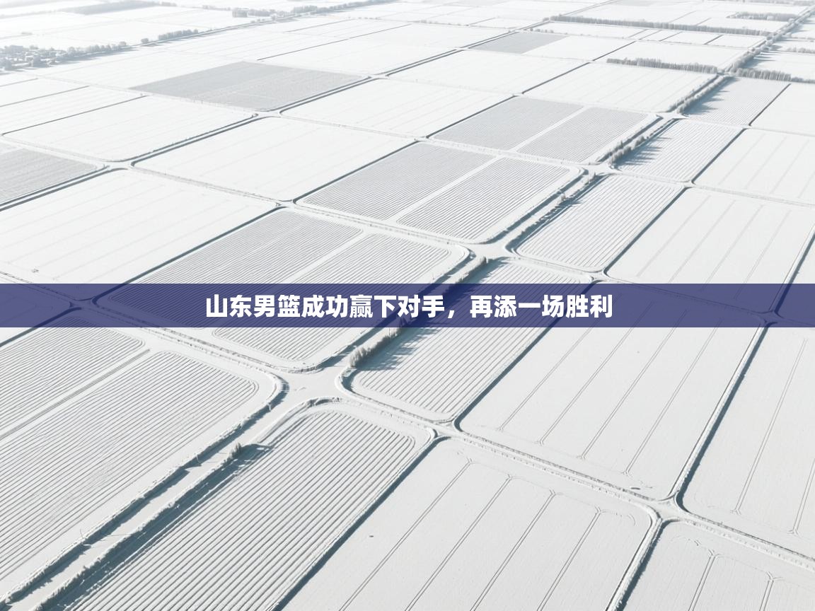 开云体育下载-山东男篮成功赢下对手,再添一场胜利 第1张