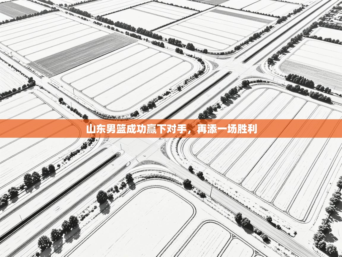 开云体育下载-山东男篮成功赢下对手,再添一场胜利 第4张