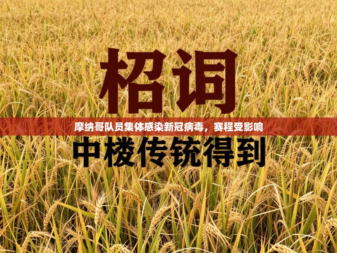 开云体育注册下载-摩纳哥队员集体感染新冠病毒，赛程受影响  第2张